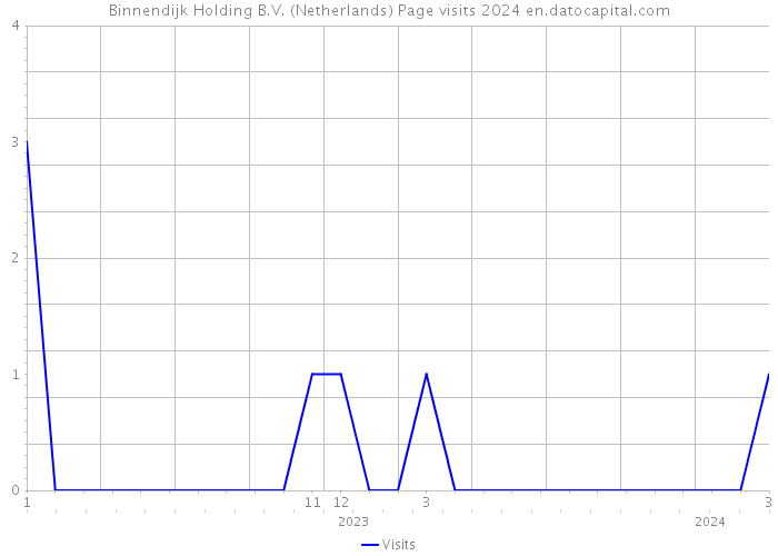 Binnendijk Holding B.V. (Netherlands) Page visits 2024 