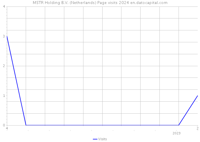 MSTR Holding B.V. (Netherlands) Page visits 2024 