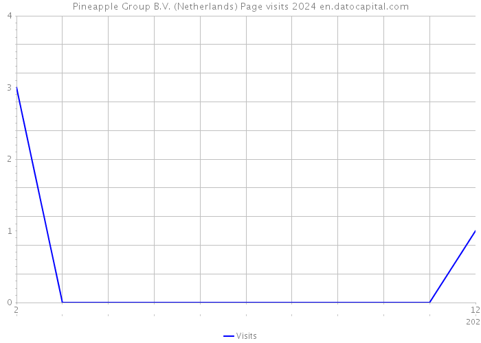 Pineapple Group B.V. (Netherlands) Page visits 2024 