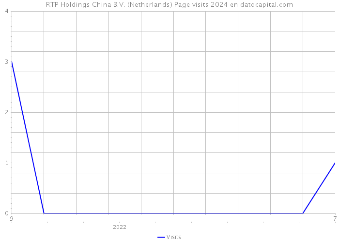 RTP Holdings China B.V. (Netherlands) Page visits 2024 