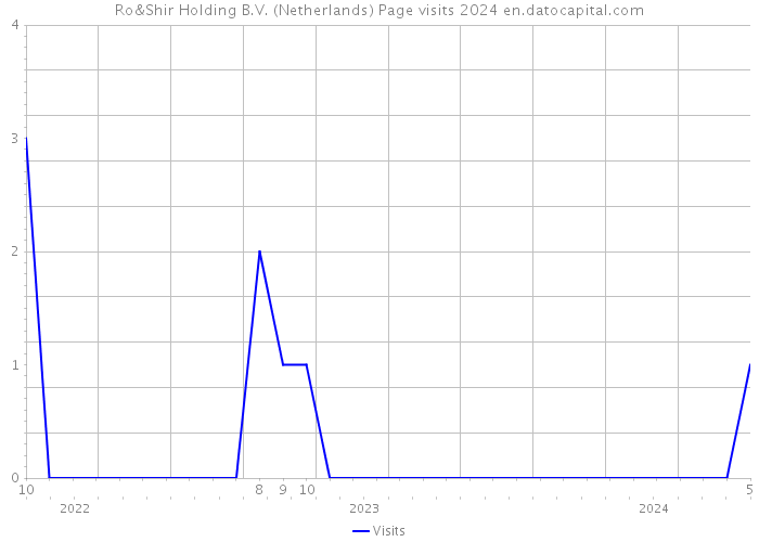 Ro&Shir Holding B.V. (Netherlands) Page visits 2024 