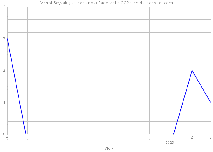 Vehbi Baysak (Netherlands) Page visits 2024 
