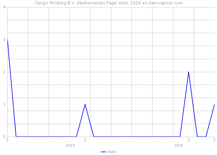 Tango Holding B.V. (Netherlands) Page visits 2024 