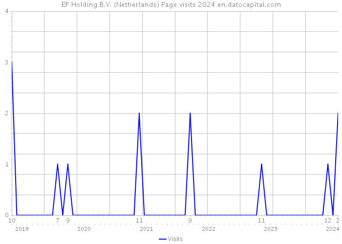 EF Holding B.V. (Netherlands) Page visits 2024 