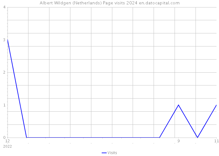 Albert Wildgen (Netherlands) Page visits 2024 