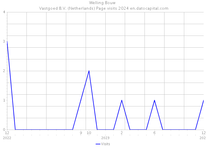 Welling Bouw | Vastgoed B.V. (Netherlands) Page visits 2024 
