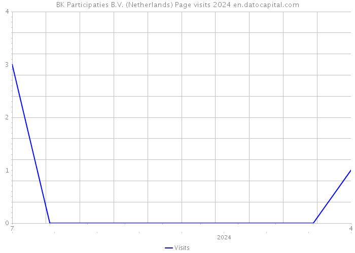 BK Participaties B.V. (Netherlands) Page visits 2024 