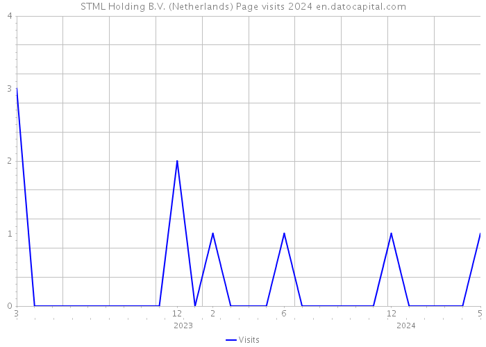 STML Holding B.V. (Netherlands) Page visits 2024 