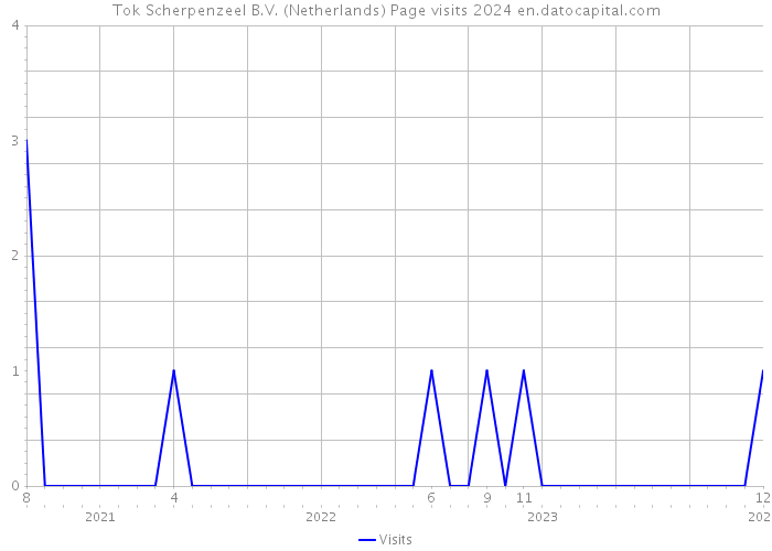 Tok Scherpenzeel B.V. (Netherlands) Page visits 2024 