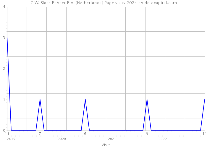 G.W. Blaes Beheer B.V. (Netherlands) Page visits 2024 