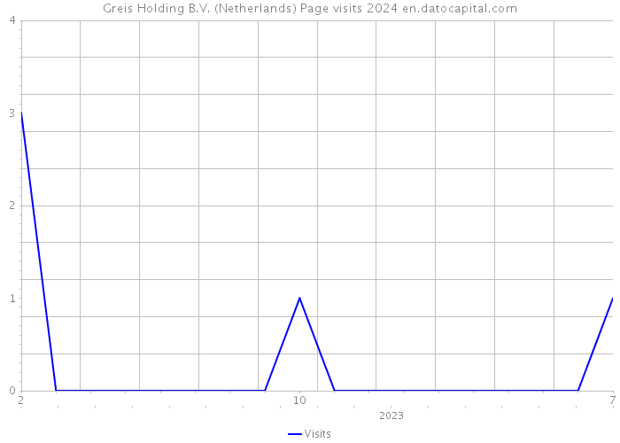 Greis Holding B.V. (Netherlands) Page visits 2024 