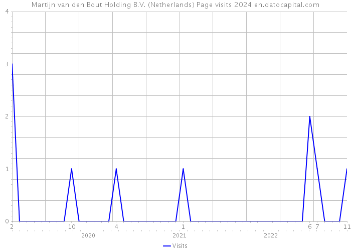 Martijn van den Bout Holding B.V. (Netherlands) Page visits 2024 