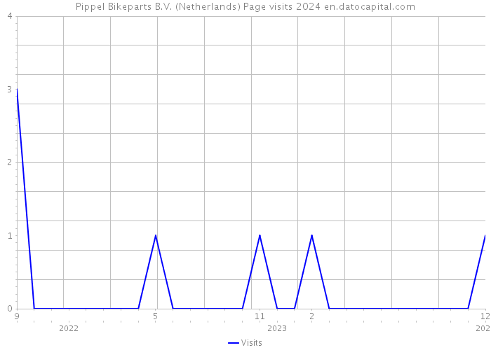 Pippel Bikeparts B.V. (Netherlands) Page visits 2024 