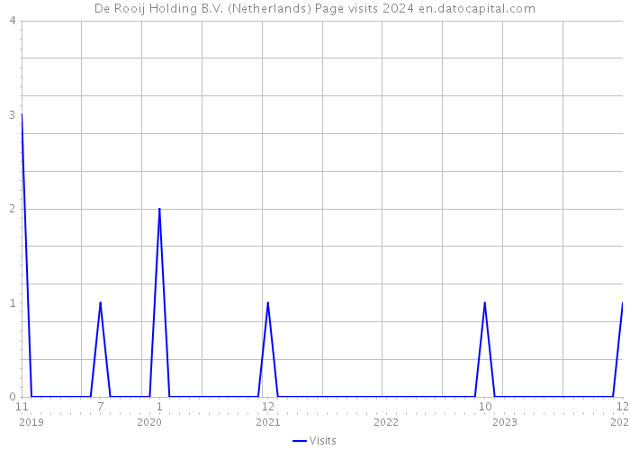 De Rooij Holding B.V. (Netherlands) Page visits 2024 