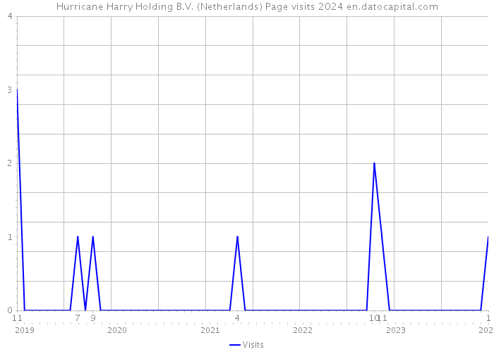 Hurricane Harry Holding B.V. (Netherlands) Page visits 2024 