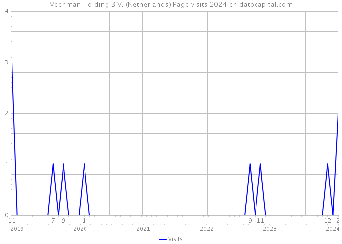 Veenman Holding B.V. (Netherlands) Page visits 2024 
