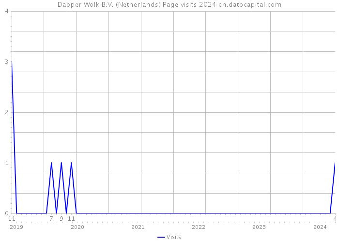 Dapper Wolk B.V. (Netherlands) Page visits 2024 