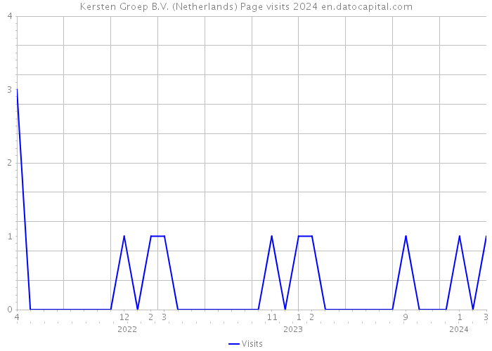 Kersten Groep B.V. (Netherlands) Page visits 2024 