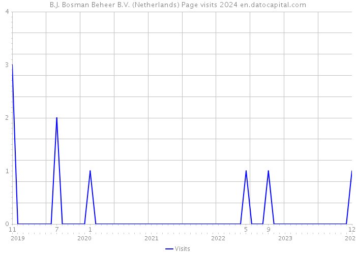 B.J. Bosman Beheer B.V. (Netherlands) Page visits 2024 