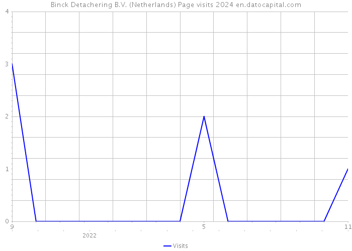 Binck Detachering B.V. (Netherlands) Page visits 2024 
