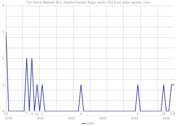 Ter Horst Beheer B.V. (Netherlands) Page visits 2024 