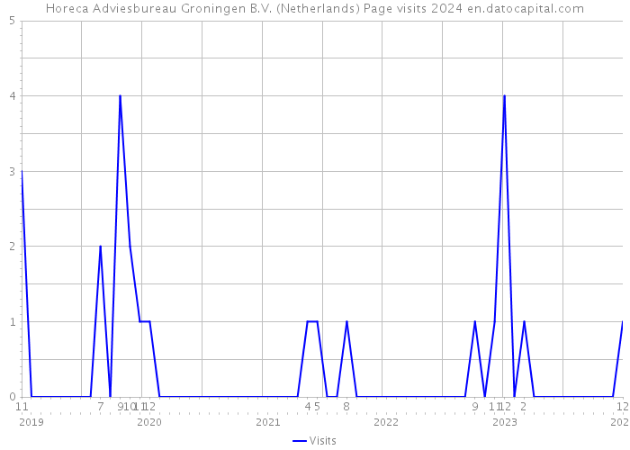 Horeca Adviesbureau Groningen B.V. (Netherlands) Page visits 2024 