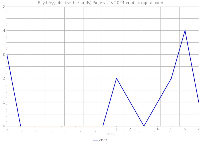 Rayif Ayyildiz (Netherlands) Page visits 2024 