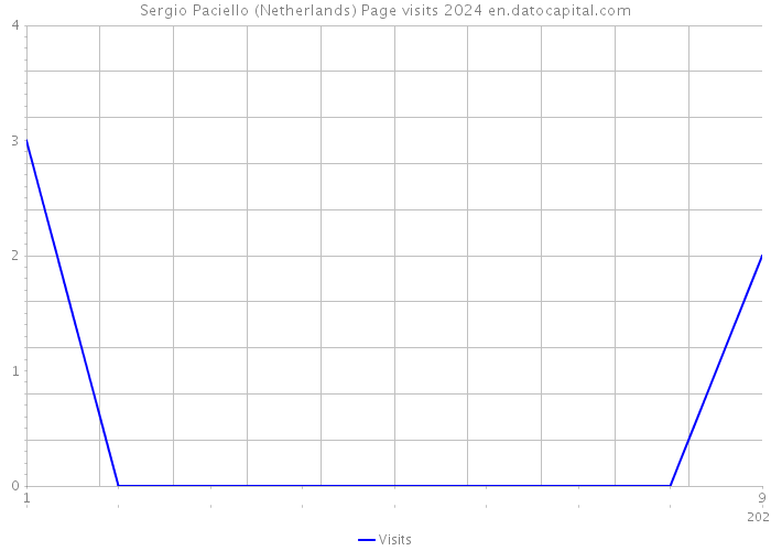 Sergio Paciello (Netherlands) Page visits 2024 