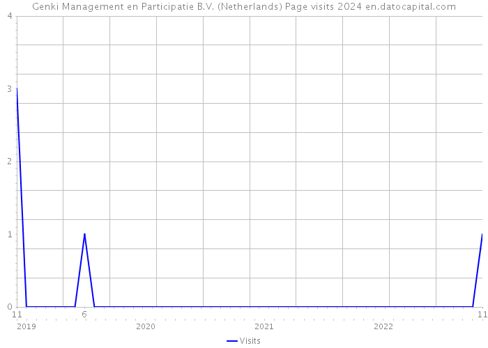 Genki Management en Participatie B.V. (Netherlands) Page visits 2024 