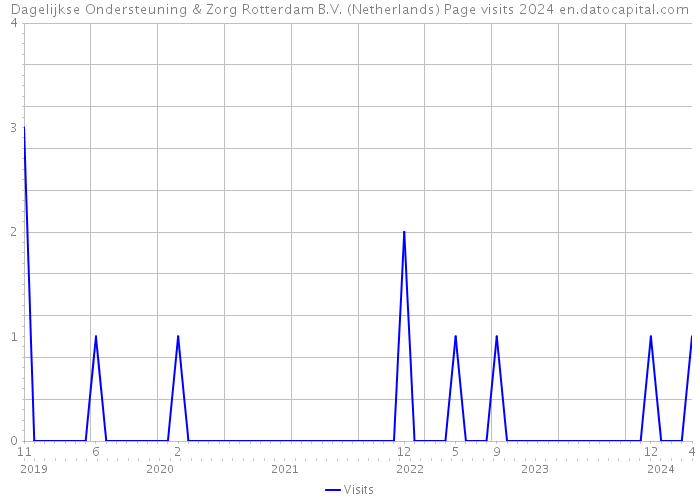 Dagelijkse Ondersteuning & Zorg Rotterdam B.V. (Netherlands) Page visits 2024 