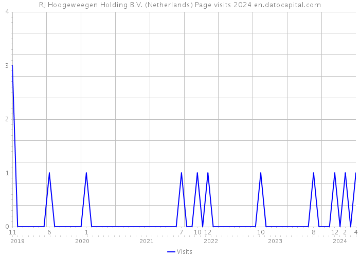 RJ Hoogeweegen Holding B.V. (Netherlands) Page visits 2024 