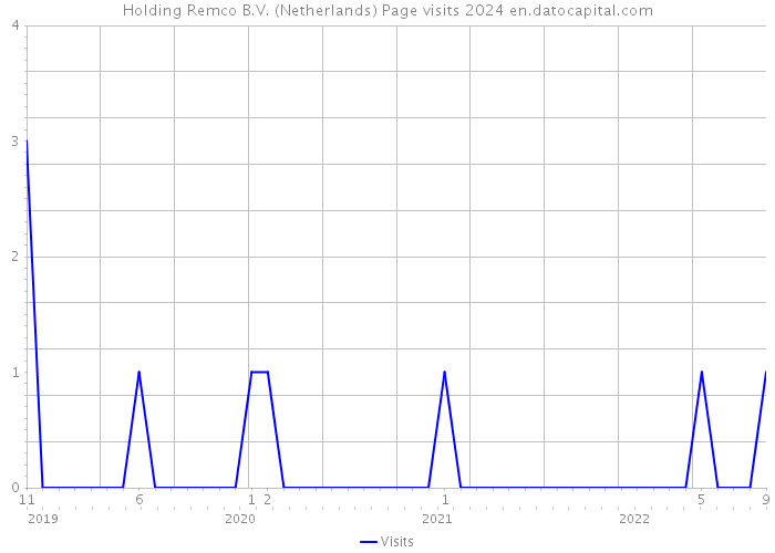 Holding Remco B.V. (Netherlands) Page visits 2024 