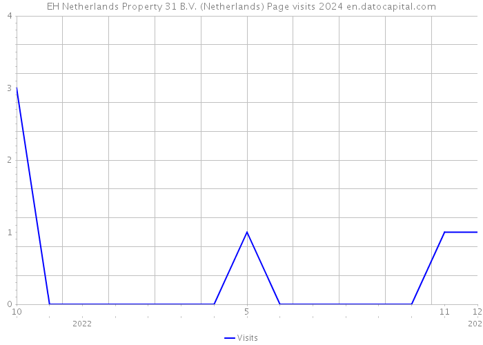 EH Netherlands Property 31 B.V. (Netherlands) Page visits 2024 