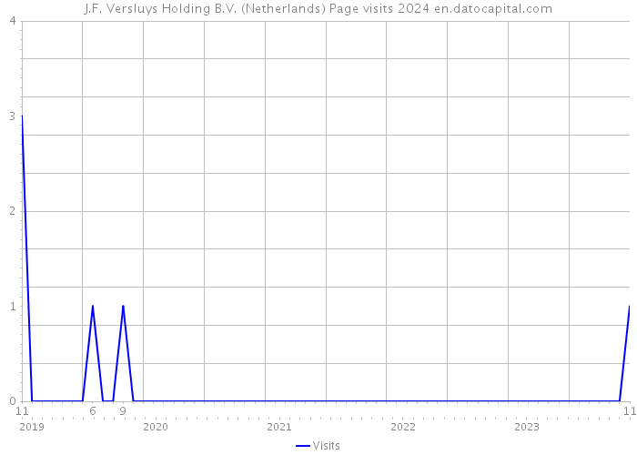 J.F. Versluys Holding B.V. (Netherlands) Page visits 2024 