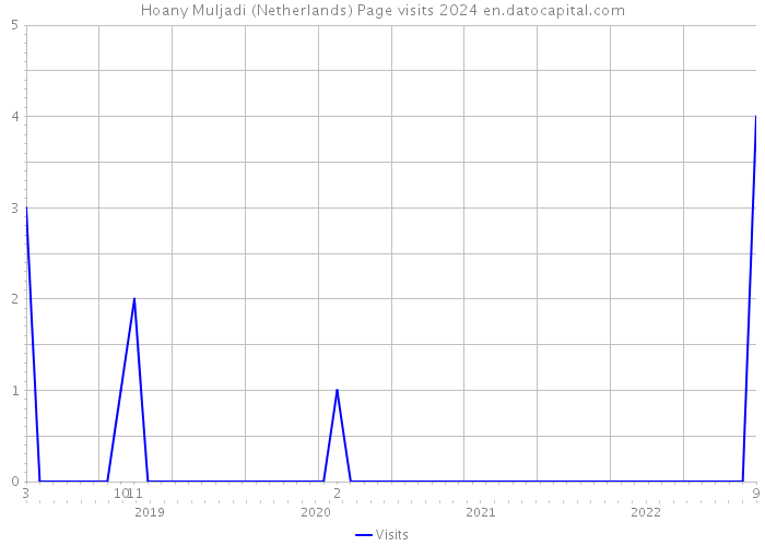 Hoany Muljadi (Netherlands) Page visits 2024 