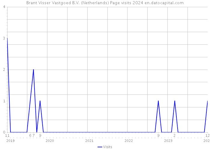 Brant Visser Vastgoed B.V. (Netherlands) Page visits 2024 