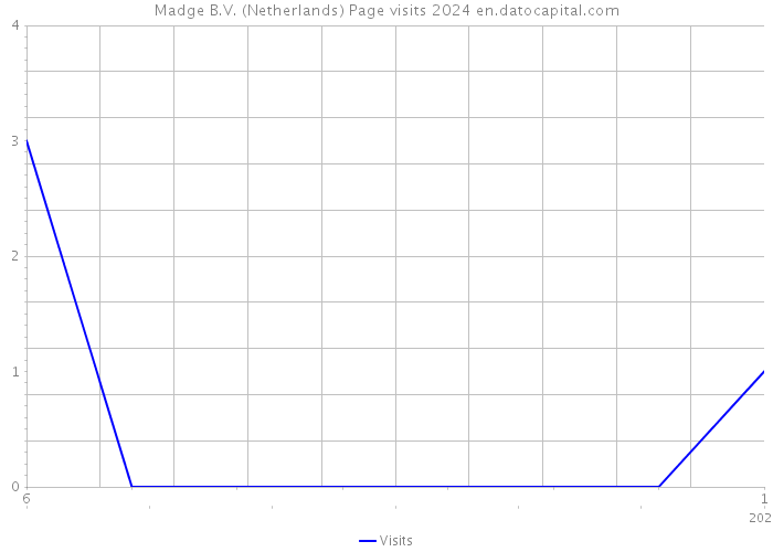 Madge B.V. (Netherlands) Page visits 2024 