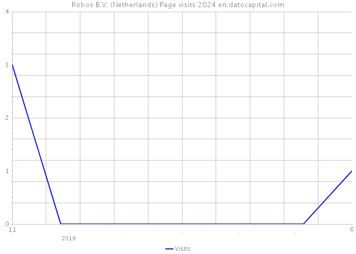 Robos B.V. (Netherlands) Page visits 2024 