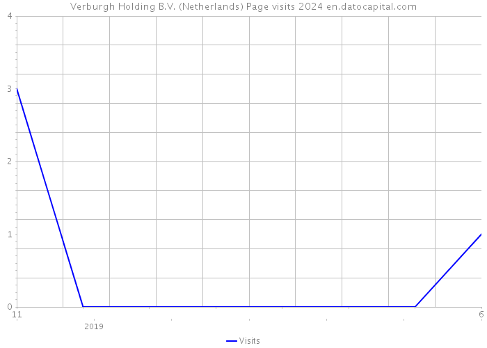 Verburgh Holding B.V. (Netherlands) Page visits 2024 