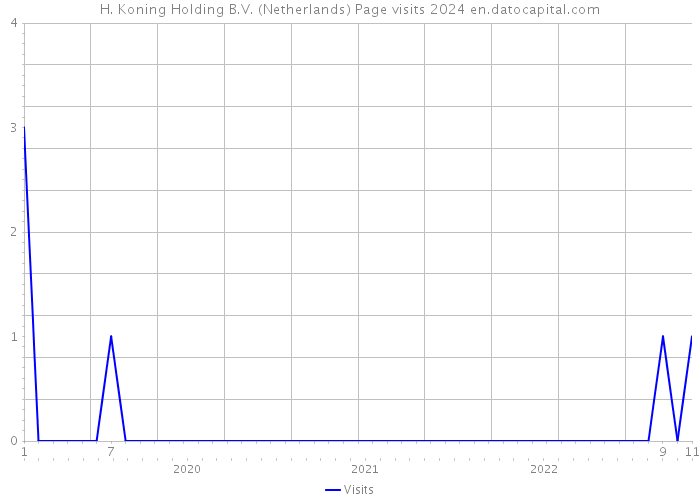 H. Koning Holding B.V. (Netherlands) Page visits 2024 