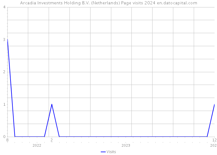 Arcadia Investments Holding B.V. (Netherlands) Page visits 2024 