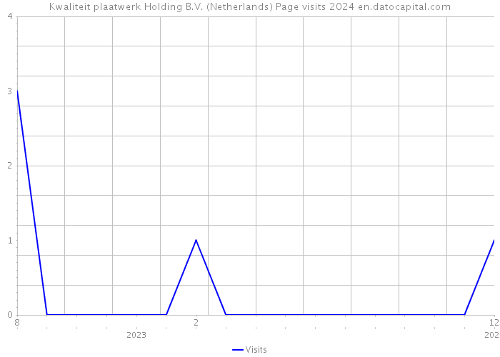 Kwaliteit plaatwerk Holding B.V. (Netherlands) Page visits 2024 