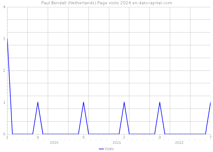 Paul Bendall (Netherlands) Page visits 2024 
