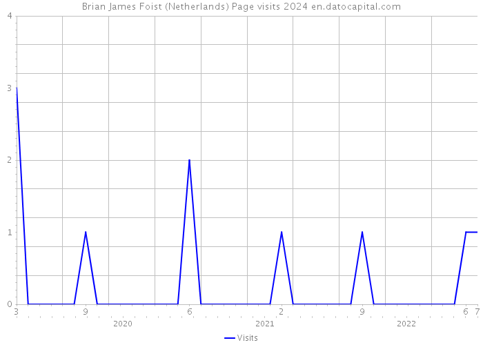 Brian James Foist (Netherlands) Page visits 2024 