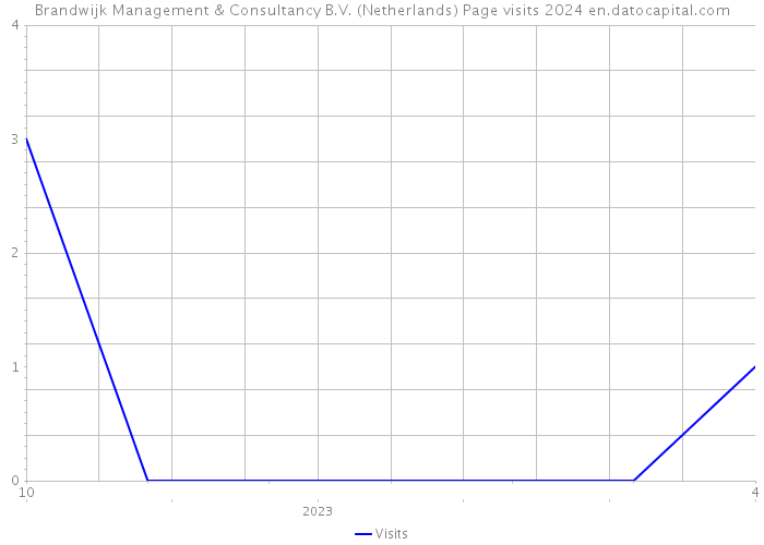 Brandwijk Management & Consultancy B.V. (Netherlands) Page visits 2024 