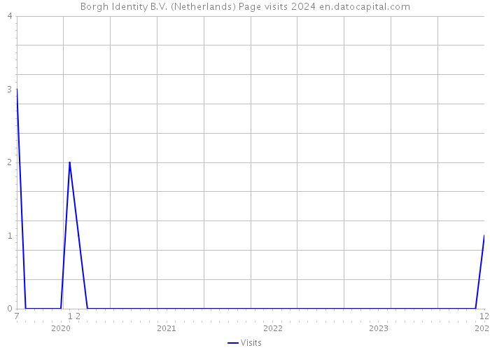 Borgh Identity B.V. (Netherlands) Page visits 2024 