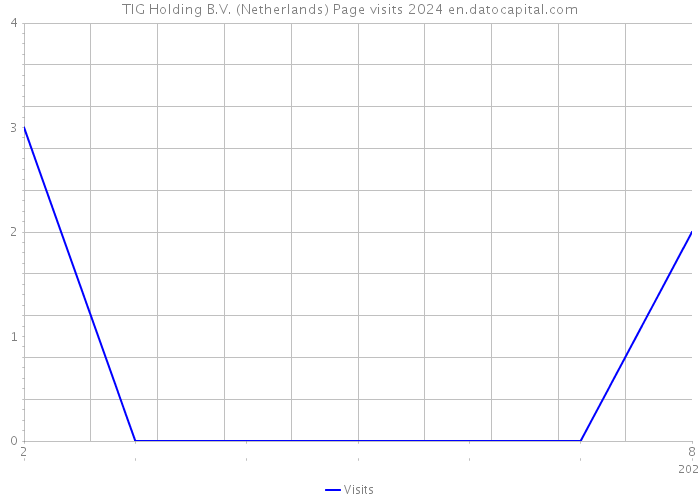 TIG Holding B.V. (Netherlands) Page visits 2024 