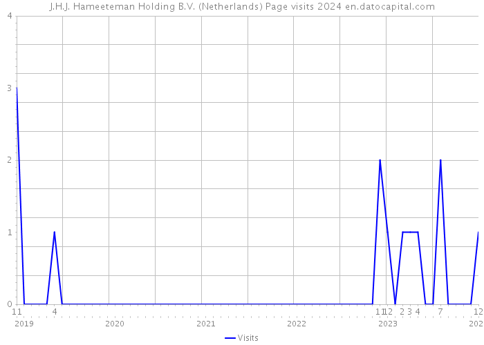 J.H.J. Hameeteman Holding B.V. (Netherlands) Page visits 2024 