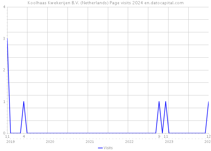 Koolhaas Kwekerijen B.V. (Netherlands) Page visits 2024 