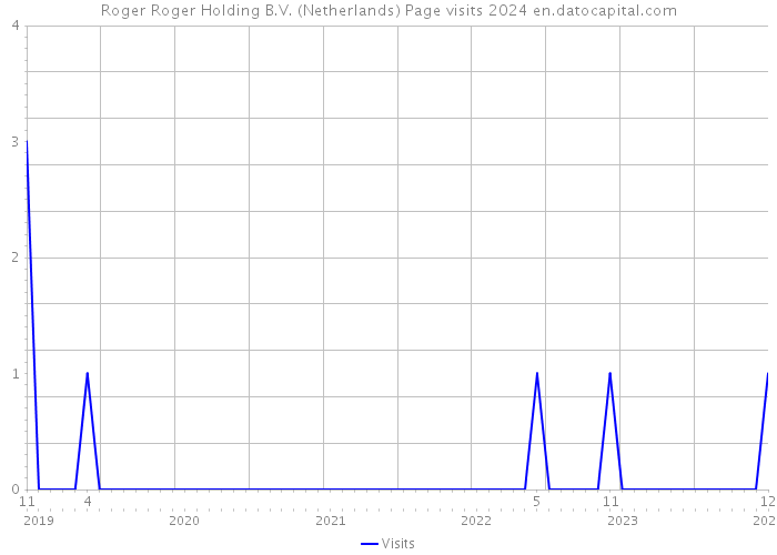 Roger Roger Holding B.V. (Netherlands) Page visits 2024 